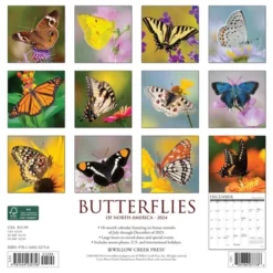 Willow Creek Press 2024 Wall Calendar 12"x12" Butterflies