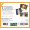 Willow Creek Press 2024 Daily Desk Calendar 5.2"x6.2" Corgis