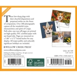 Willow Creek Press 2024 Daily Desk Calendar 5.2"x6.2" Corgis