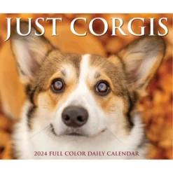 Willow Creek Press 2024 Daily Desk Calendar 5.2"x6.2" Corgis -Stationery Sphere Outlet Store GUEST 4a4cd662 c25b 4314 ab9b 5fb14f8c605c