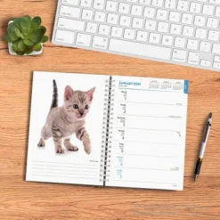 Browntrout 23-2024 Weekly/Monthly Planner 7.5"x7.125" Kittens 5 Browntrout 23-2024 Weekly/Monthly Planner 7.5"x7.125" Kittens -Stationery Sphere Outlet Store GUEST 5d33925b 99cd 46d1 96f3 f0298ca8f625