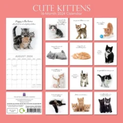 The Gifted Stationery 2024 Square Wall Calendar, Cute Kittens, 16-Month Animals Theme With 180 Reminder Stickers (12 X 12 In) -Stationery Sphere Outlet Store GUEST 60cabb25 966a 4e3f 849d 5c1603f3387e