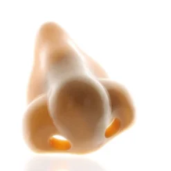 Fun Express Nose Pencil Sharpener 12 Pieces 6 Fun Express Nose Pencil Sharpener 12 Pieces -Stationery Sphere Outlet Store GUEST 67eae323 fcef 4b5a a089 01a365cee3ec