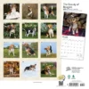 StarGifts 2024 Wall Calendar 12"x12" The Beauty Of Beagles