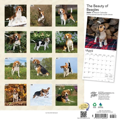 StarGifts 2024 Wall Calendar 12"x12" The Beauty Of Beagles 1 StarGifts 2024 Wall Calendar 12"x12" The Beauty Of Beagles