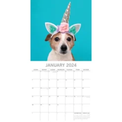 The Gifted Stationery 2024 Square Wall Calendar, Dogs As Animals, 16-Month Humor Theme With 180 Reminder Stickers (12 X 12 In)