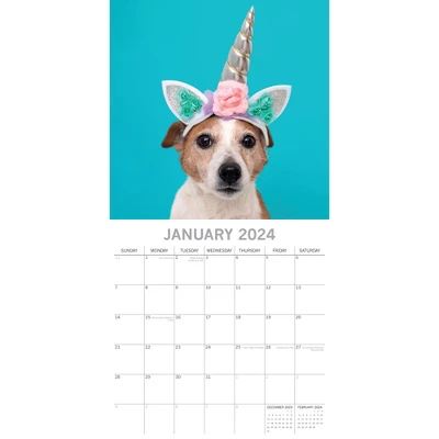 The Gifted Stationery 2024 Square Wall Calendar, Dogs As Animals, 16-Month Humor Theme With 180 Reminder Stickers (12 X 12 In) 1 The Gifted Stationery 2024 Square Wall Calendar, Dogs As Animals, 16-Month Humor Theme With 180 Reminder Stickers (12 X 12 In)