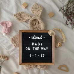 Flash Furniture Gracie Felt Letter Board With Wooden Frame, 389 PP Letters Including Numbers, Symbols And Icons, Canvas Carrying Case