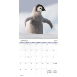 Trends International Inc. 2023-24 Wall Calendar 12"x12" Animal Babies