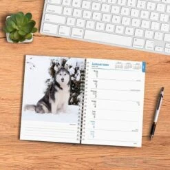 Browntrout 23-2024 Weekly/Monthly Planner 7.5"x7.125" Siberian Huskies -Stationery Sphere Outlet Store GUEST 71710231 24e5 4161 9f5b 0735bf71b27c