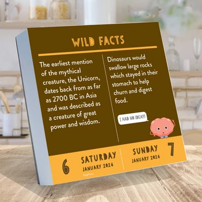 TF Publishing 2024 Daily Desktop Calendar 5.25"x5.25" Smarty Pants 1 TF Publishing 2024 Daily Desktop Calendar 5.25"x5.25" Smarty Pants