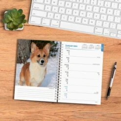 Browntrout 23-2024 Weekly/Monthly Planner 7.5"x7.125" Welsh Corgis -Stationery Sphere Outlet Store GUEST 74ccc33d cd1a 4403 bf69 a6076e0f5352