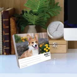 Willow Creek Press 2024 Daily Desk Calendar 5.2"x6.2" Corgis -Stationery Sphere Outlet Store GUEST 783de6b5 fd65 4aa1 bddd 85e97be56ef2