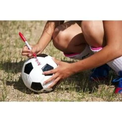 Sharpie Extreme Marker Fine Point Black Dozen 1927432 -Stationery Sphere Outlet Store GUEST 90d16e8f 74b3 4538 b884 b1983fa47c1b