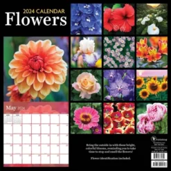 TF Publishing 2024 Wall Calendar 12"x12" Flowers 7 TF Publishing 2024 Wall Calendar 12"x12" Flowers -Stationery Sphere Outlet Store GUEST a003b044 56b2 42c3 891b 341b5814e259