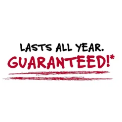 Five Star 2" 3-Ring Zipper Binders D-Ring Assorted Colors (29052) -Stationery Sphere Outlet Store GUEST a58f29ff d567 46af a2c7 3c460c097b58