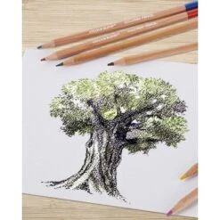 24ct Colored Pencils Gift Pack - Colour Block -Stationery Sphere Outlet Store GUEST adab549b 842e 4642 9913 4d6868e8194f