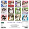 Willow Creek Press 2024 Wall Calendar 12"x12" Just Shih Tzu
