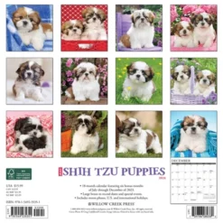 Willow Creek Press 2024 Wall Calendar 12"x12" Just Shih Tzu