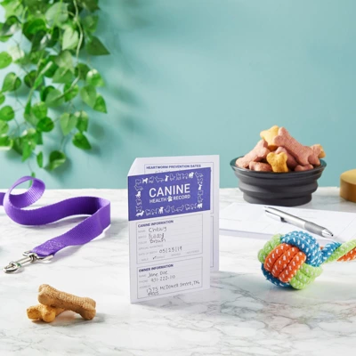 Juvale 24 Pack Puppy Vaccination Record Card, Dog Vaccine And Canine Health Booklets, 5 X 3.5 In 2 Juvale 24 Pack Puppy Vaccination Record Card, Dog Vaccine And Canine Health Booklets, 5 X 3.5 In - Image 2