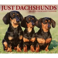 Willow Creek Press 2024 Daily Desk Calendar 5.2"x6.2" Dachshunds -Stationery Sphere Outlet Store GUEST c5aaf685 5e24 4cde addf da1d6523547a