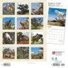 Browntrout 2024 Wall Calendar 12"x12" Goats In Trees