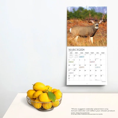 StarGifts 2024 Wall Calendar 12"x12" Giant Bucks 3 StarGifts 2024 Wall Calendar 12"x12" Giant Bucks - Image 3