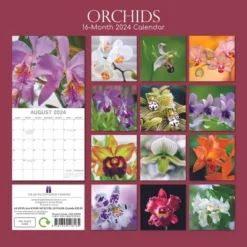 The Gifted Stationery 2024 Square Wall Calendar, Orchids, 16-Month Floral Theme With 180 Reminder Stickers (12x12 In) -Stationery Sphere Outlet Store GUEST cd8cd450 62fc 4072 99ce 8eebfef7dd00