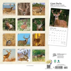 StarGifts 2024 Wall Calendar 12"x12" Giant Bucks