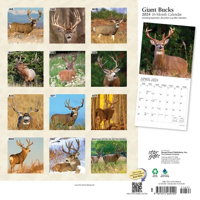 StarGifts 2024 Wall Calendar 12"x12" Giant Bucks 1 StarGifts 2024 Wall Calendar 12"x12" Giant Bucks
