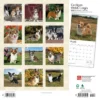 Browntrout 2024 Wall Calendar 12"x12" Welsh Corgis Cardigan