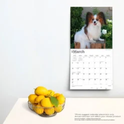 Browntrout 2024 Wall Calendar 12"x12" Papillons -Stationery Sphere Outlet Store GUEST d9f7dea9 9afb 4588 bf58 9d36905efde8