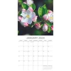 The Gifted Stationery 2024 Square Wall Calendar, Blossoms, 16-Month Floral Theme With 180 Reminder Stickers (12x12 In)