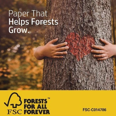 HP Premium24 8.5" X 11" Laser Paper 24 Lbs. 100 Brightness 500 Sheets/Ream (HPJ1124) 112400 2 HP Premium24 8.5" X 11" Laser Paper 24 Lbs. 100 Brightness 500 Sheets/Ream (HPJ1124) 112400 - Image 2