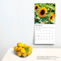 Browntrout 2024 Wall Calendar 12"x12" Sunflowers 5 Browntrout 2024 Wall Calendar 12"x12" Sunflowers -Stationery Sphere Outlet Store GUEST f779be32 baec 41e2 900d ed1927f655cf