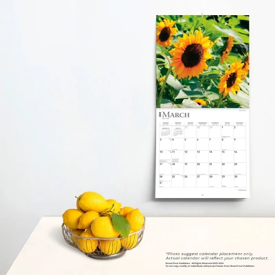 Browntrout 2024 Wall Calendar 12"x12" Sunflowers 3 Browntrout 2024 Wall Calendar 12"x12" Sunflowers - Image 3